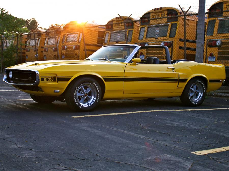  Shelby GT350 Convertible 1969 года  (фото 4 из 8)